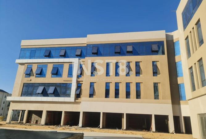 58247177 - Property Image 3