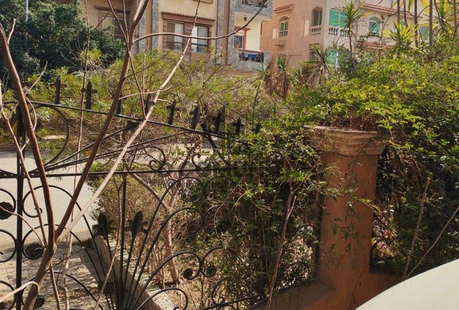 66424313 - صورة العقار 3