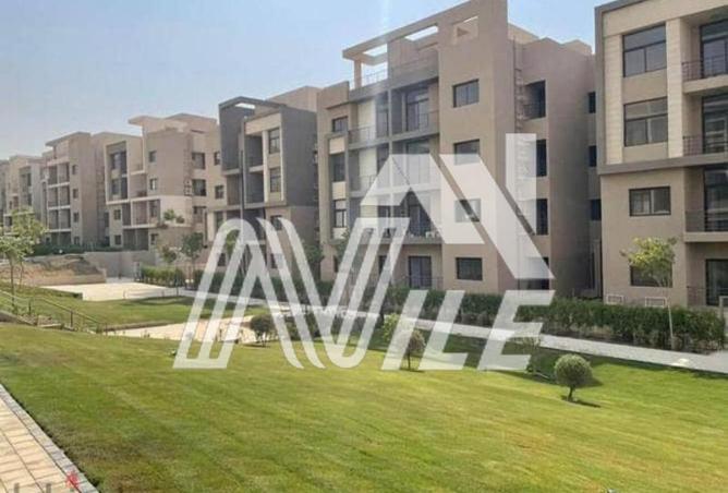 8513337 - Property Image 3