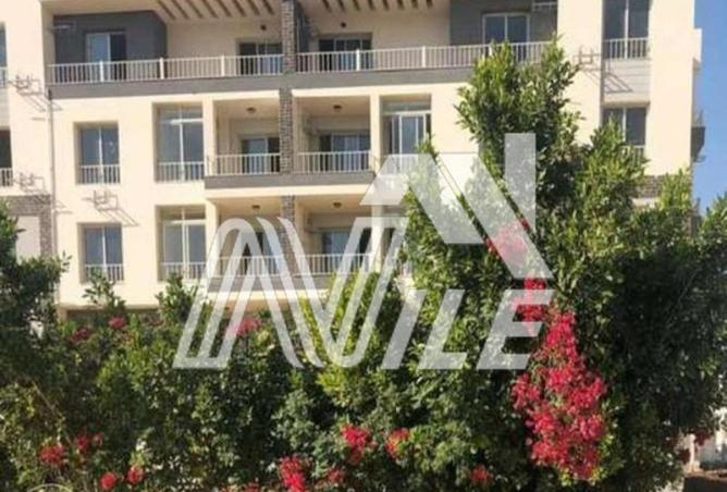 8513337 - Property Image 2