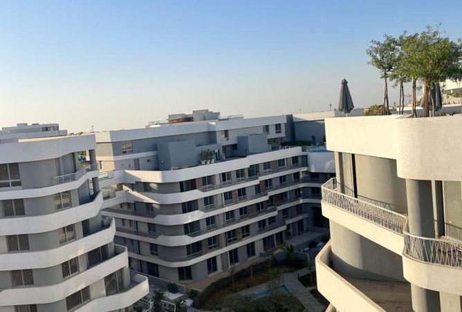 53222166 - Property Image 3