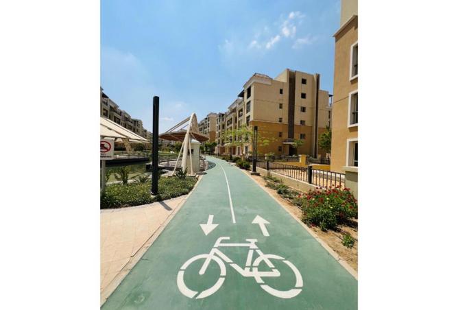 56249878 - Property Image 3