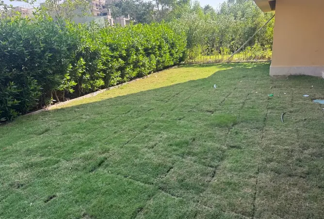 120876088 - Property Image 3