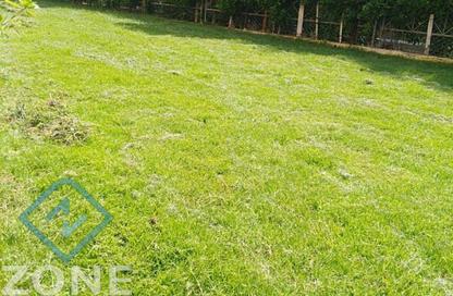 Villa - 3 Bedrooms - 3 Bathrooms for rent in Privado - Madinaty - Cairo
