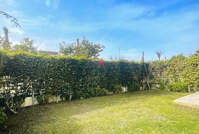 56240412 - صورة العقار 3