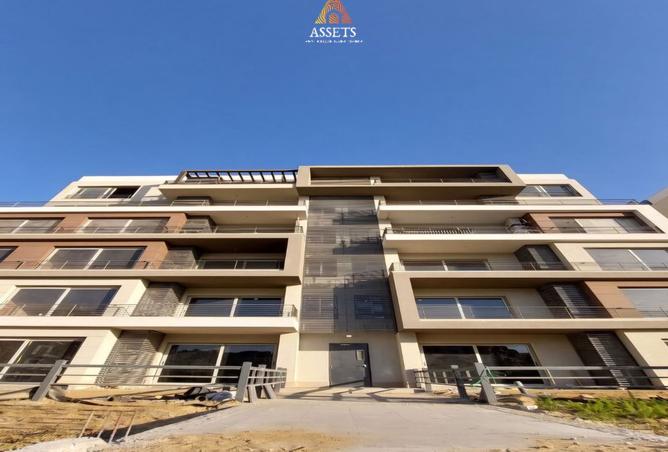 8444329 - Property Image 3