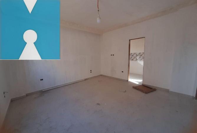 53466672 - Property Image 3