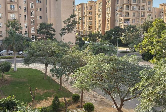 8396629 - صورة العقار 2