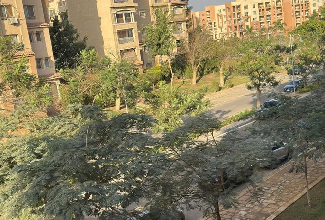 8396629 - صورة العقار 3