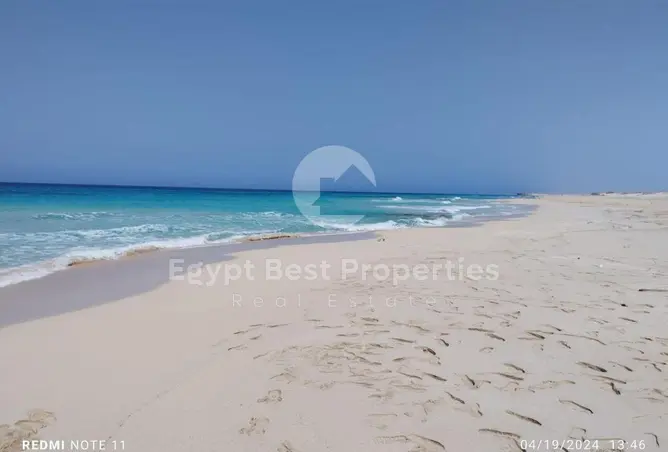 109642620 - Property Image 3