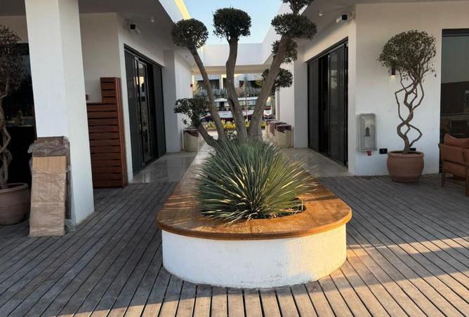 66439321 - Property Image 2