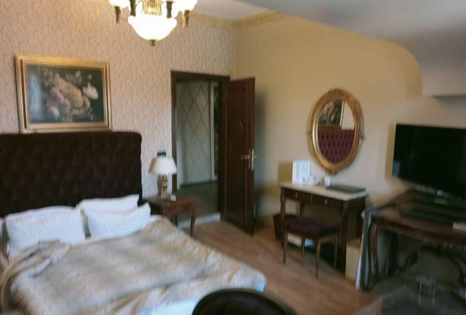 55509924 - Property Image 3