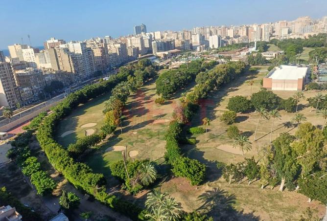 8423993 - صورة العقار 2