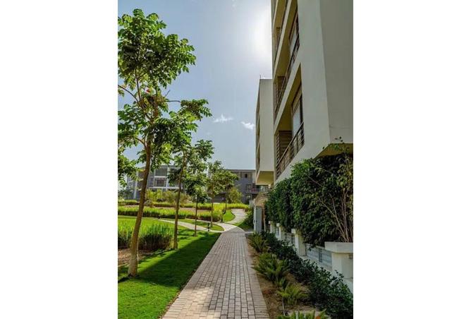 57503160 - صورة العقار 2