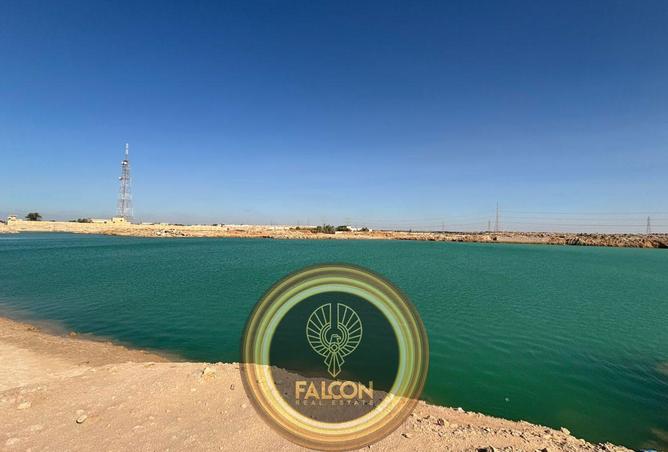 65160450 - صورة العقار 2