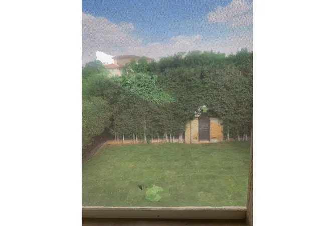 118552539 - Property Image 3