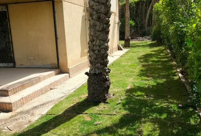 120356151 - صورة العقار 3