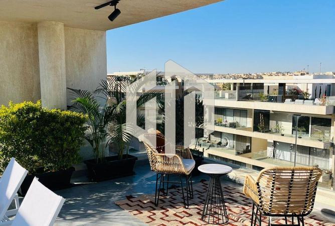 8572285 - Property Image 3