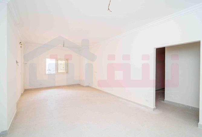 77598751 - Property Image 3