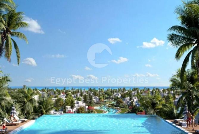 98010840 - Property Image 3