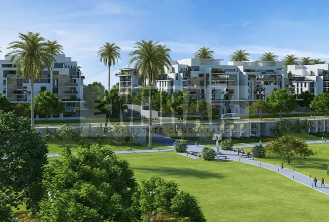 117525954 - Property Image 2