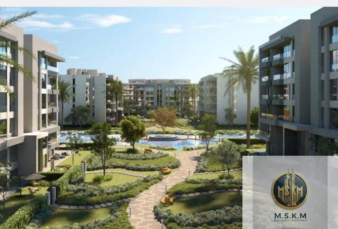 65923289 - Property Image 3