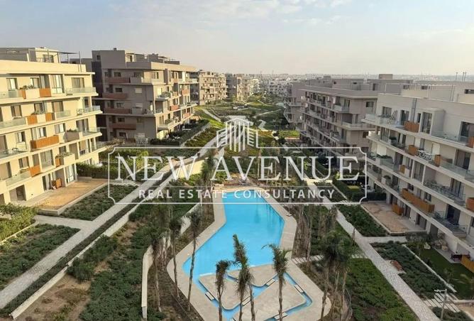 62401537 - Property Image 3