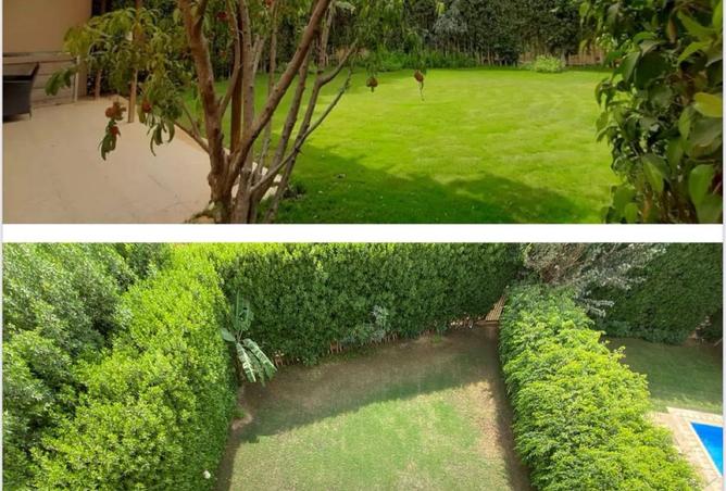 105136309 - Property Image 3