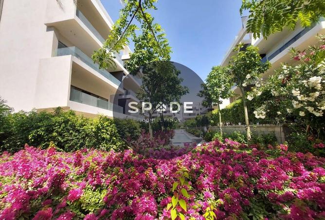 62399616 - Property Image 3