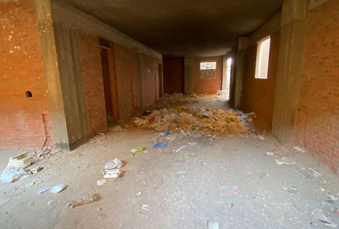 57741731 - Property Image 3