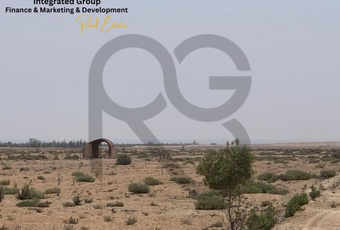 63393631 - Property Image 3