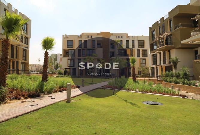 56251185 - Property Image 3