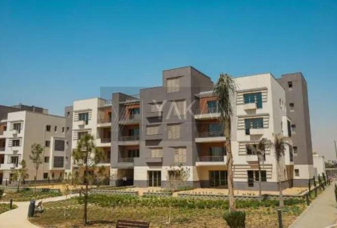 61687777 - Property Image 3