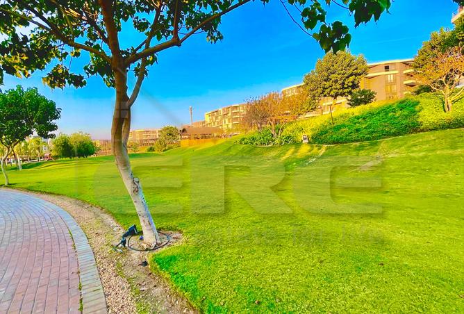 61203150 - صورة العقار 3