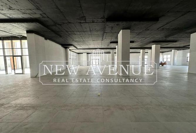 54230916 - Property Image 2