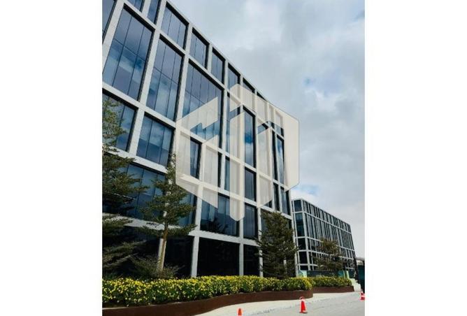 97444223 - Property Image 2