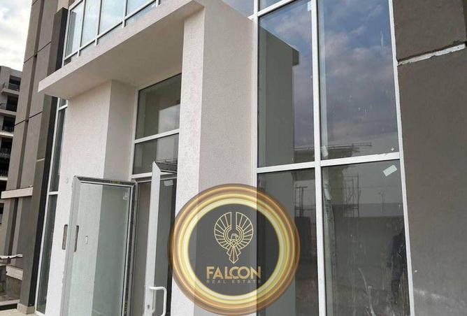 55263542 - Property Image 3