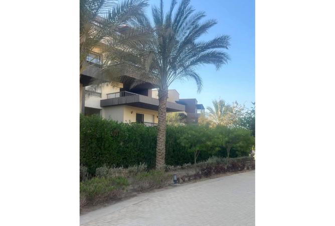 97721092 - صورة العقار 3