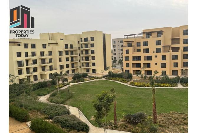 64894050 - Property Image 3