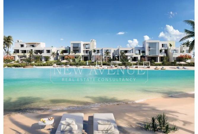 97428385 - Property Image 3