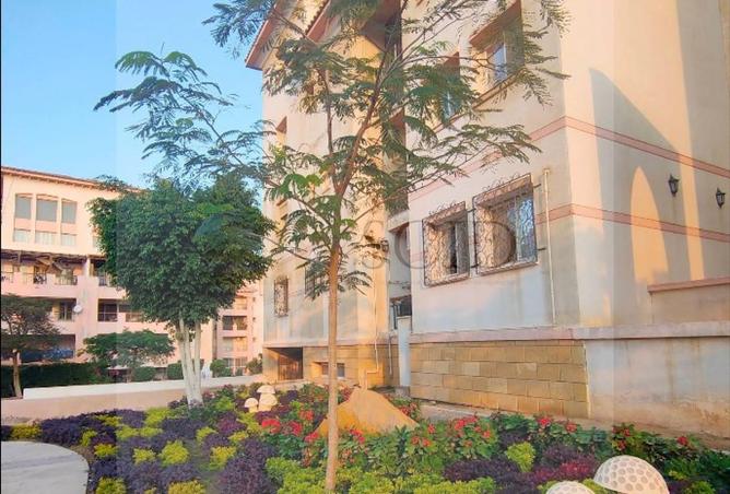 66704496 - صورة العقار 2