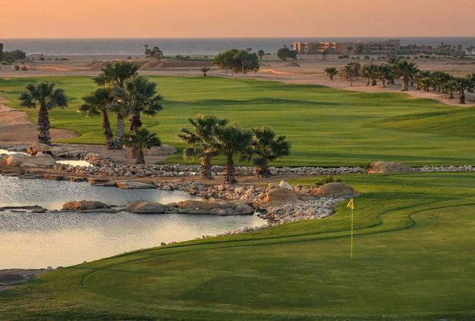 59244974 - صورة العقار 3