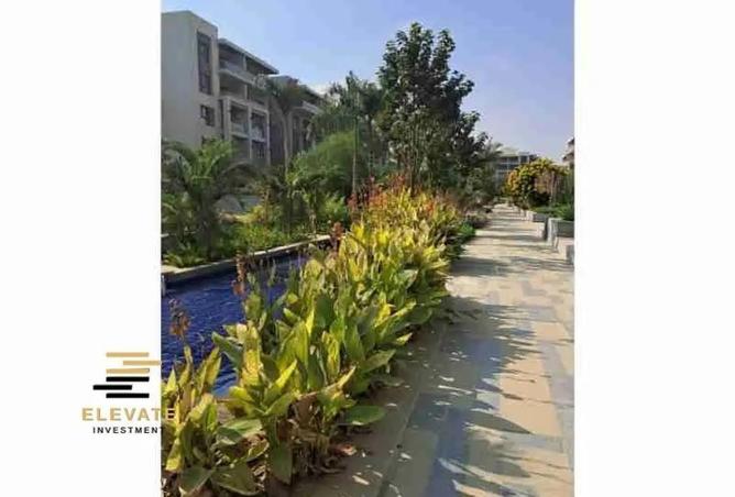 66167303 - الصورة الرئيسية للعقار