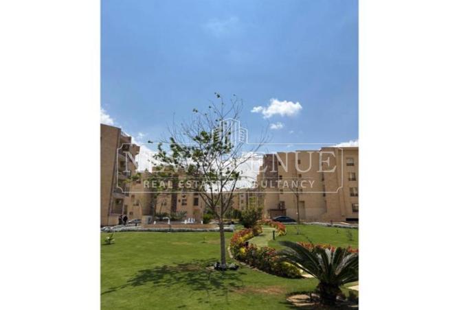 97416463 - Property Image 2