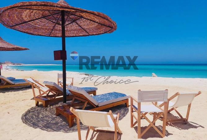 59236802 - صورة العقار 3