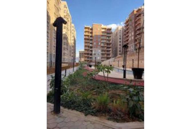 71396270 - صورة العقار 3