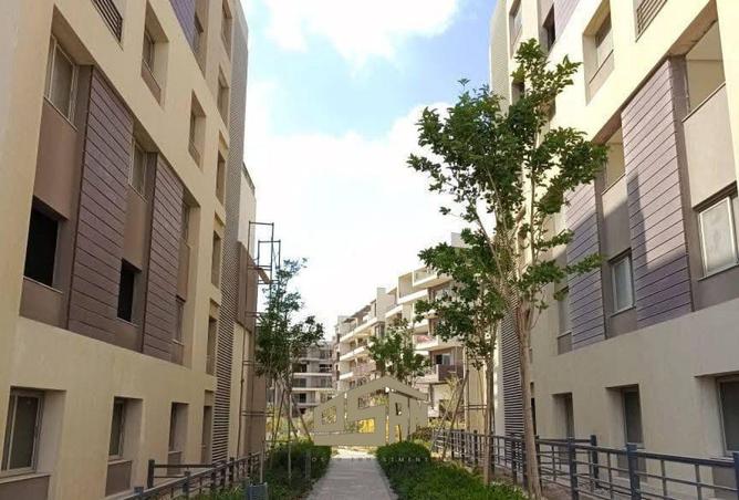 8642744 - Property Image 2