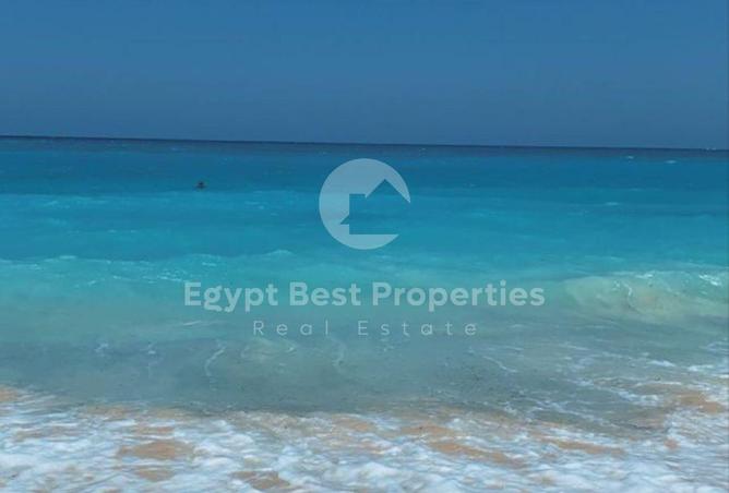 8633393 - Property Image 2