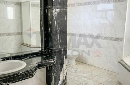 Office Space - Studio - 2 Bathrooms for rent in Khaleel Al Khayat Basha St. - Kafr Abdo - Roushdy - Hay Sharq - Alexandria