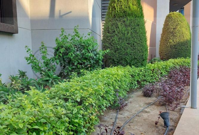 64385541 - صورة العقار 3